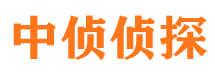 泰和寻人公司